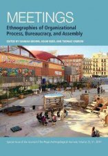 Meetings Ethnographies Of Organizational Process Bureaucracy And Assembly