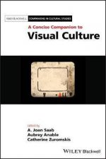 A Concise Companion To Visual Culture