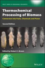 Thermochemical Processing Of Biomass Conversion Into Fuels Chemicals And Power 2nd Ed