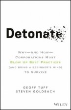 Detonate Why And How Corporations Must Blow Up Best Practices And Bring A Beginners Mind To Survive