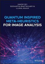 Quantum Inspired MetaHeuristics For Image Analysis
