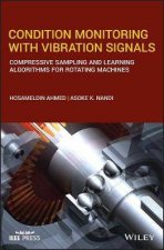 Condition Monitoring With Vibration Signals