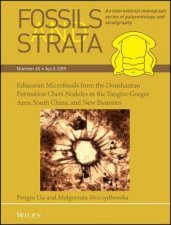 Ediacaran Microfossils from the Doushantuo Formation Chert Nodules in the Yangtze Gorges Area South China and New Biozones