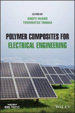 Polymer Composites For Electrical Engineering