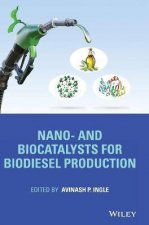 Nano And Biocatalysts For Biodiesel Production