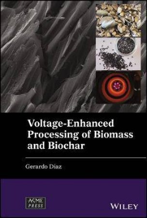 Voltage-Enhanced Processing Of Biomass And Biochar by Gerardo Diaz