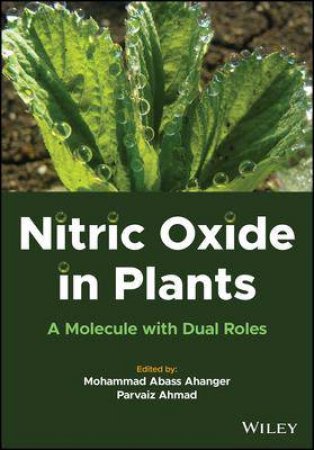 Nitric Oxide In Plants by Mohammad Abass Ahanger & Parvaiz Ahmad