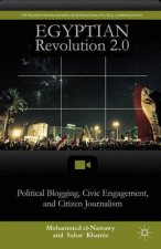 Egyptian Revolution 20