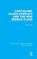 Capitalism Class Conflict and the New Middle Class