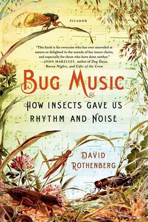 Bug Music by David Rothenberg