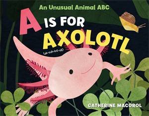 A Is For Axolotl: An Unusual Animal ABC by Catherine Macorol & Catherine Macorol