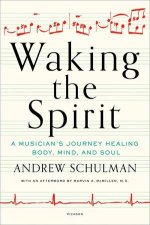 Waking The Spirit A Musicians Journey Healing Body Mind And Soul