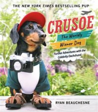 Crusoe The Worldly Wiener Dog