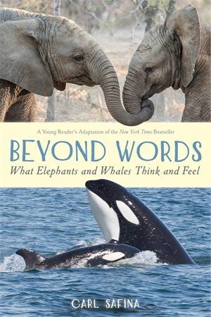 Beyond Words: What Elephants And Whales Think And Feel by Carl Safina & Carl Safina