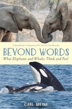Beyond Words What Elephants And Whales Think And Feel
