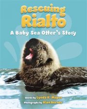 Rescuing Rialto A Baby Sea Otters Story