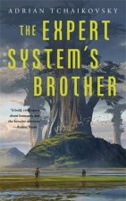 The Expert Systems Brother
