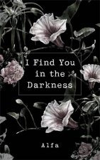I Find You In The Darkness