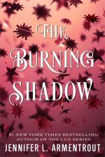 The Burning Shadow