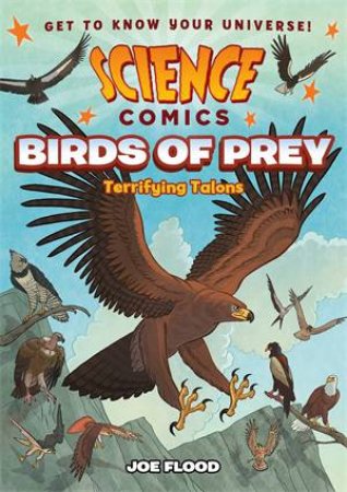 Science Comics: Birds Of Prey Terrifying Talons by Joe Flood