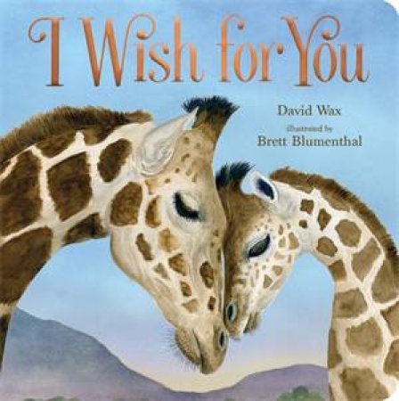 I Wish for You by David Wax & Brett Blumenthal