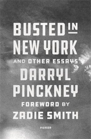 Busted In New York And Other Essays by Darryl Pinckney