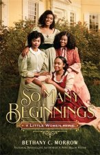 So Many Beginnings A Little Women Remix