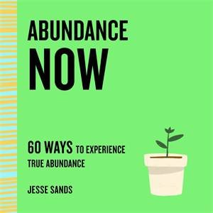 Abundance Now by Jesse Sands