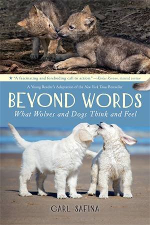 Beyond Words: What Wolves And Dogs Think And Feel (A Young Reader's Adaptation) by Carl Safina & Carl Safina