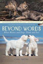 Beyond Words What Wolves And Dogs Think And Feel A Young Readers Adaptation