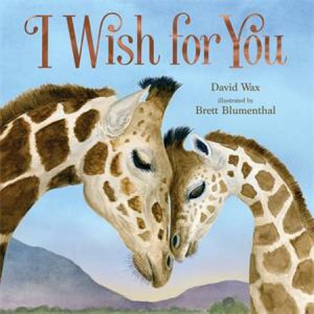 I Wish For You by David Wax & Brett Blumenthal