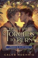 Teach the Torches to Burn A Romeo  Juliet Remix