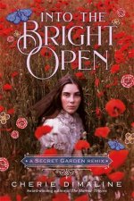 Into the Bright Open A Secret Garden Remix