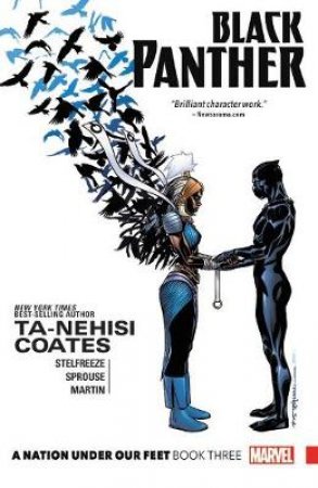 Black Panther: A Nation Under Our Feet, Vol 3 by Ta-Nehisi Coates