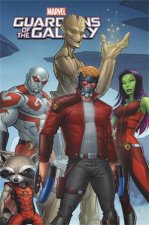 Marvel Universe Guardians Of The Galaxy Vol 6
