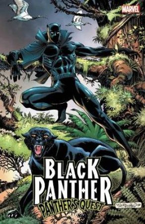 Black Panther by Don McGregor & Gene Colan