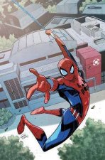 WEB Of SpiderMan
