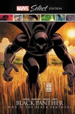 Black Panther Who Is The Black Panther