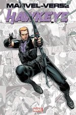 MarvelVerse Hawkeye