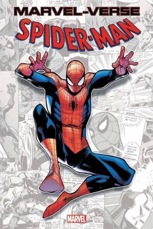 Marvel-Verse: Spider-Man by Paul Jenkins