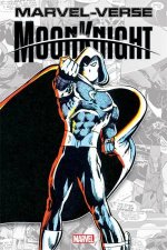 MarvelVerse Moon Knight