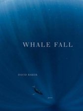 Whale Fall