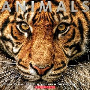 Animals by Various