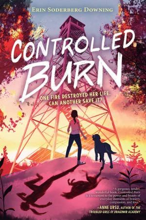 Controlled Burn by Erin Downing
