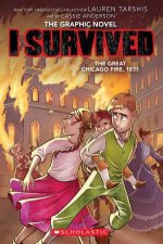 I Survived The Great Chicago Fire 1871
