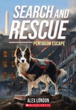 Search And Rescue Pentagon Escape