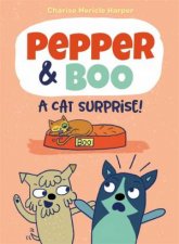 Pepper  Boo A Cat Surprise