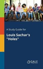 A Study Guide for Louis Sachars Holes