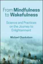 From Mindfulness to Wakefulness