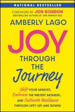 Joy Through the Journey